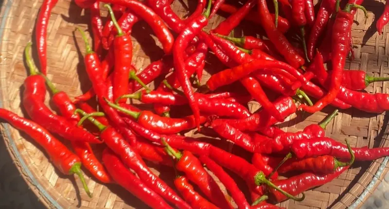 Không màu điều, không phẩm màu – Màu đỏ tự nhiên từ nguyên liệu bản địa