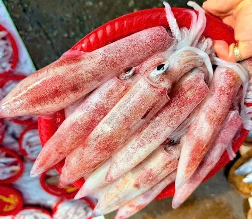 Cách Làm Mực Xào Sa Tế Thơm Ngon Đậm Đà – Ai Cũng Nấu Được Tại Nhà
